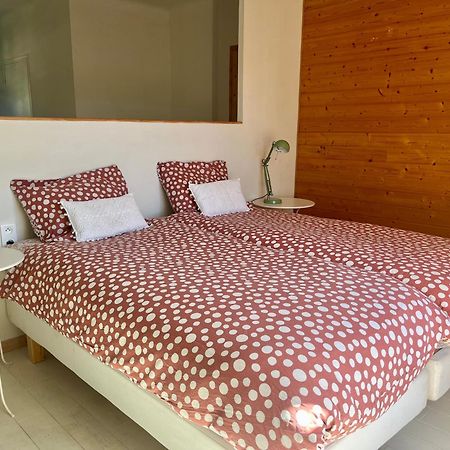 La Perle Des Montagnes - Bed And Breakfast - Chambre D Hote 弗耐特·莱班斯 外观 照片