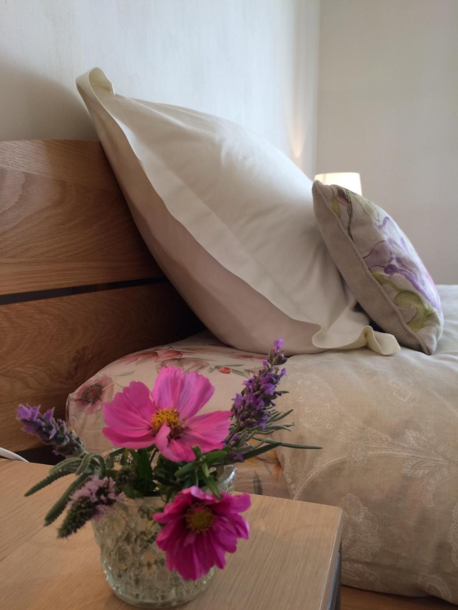 La Perle Des Montagnes - Bed And Breakfast - Chambre D Hote 弗耐特·莱班斯 外观 照片